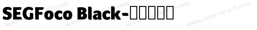 SEGFoco Black字体转换